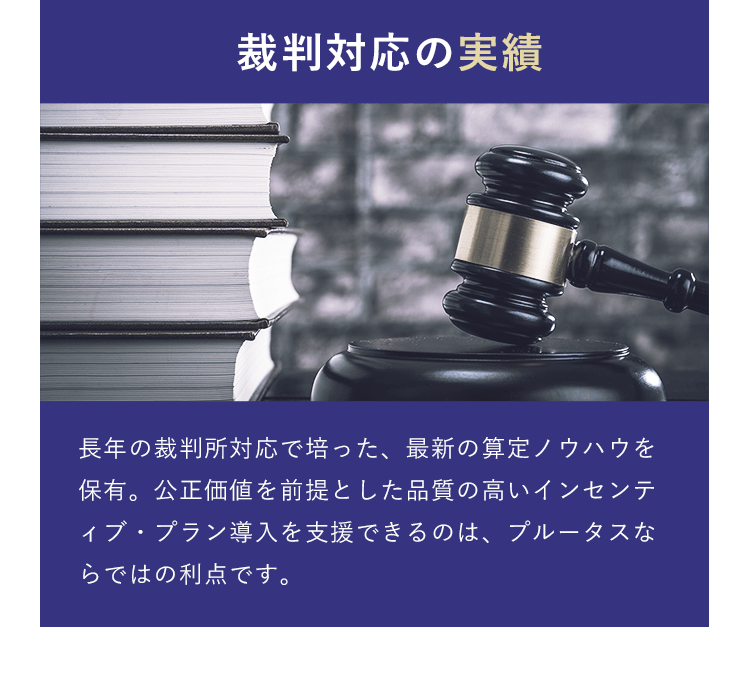 裁判対応の実績